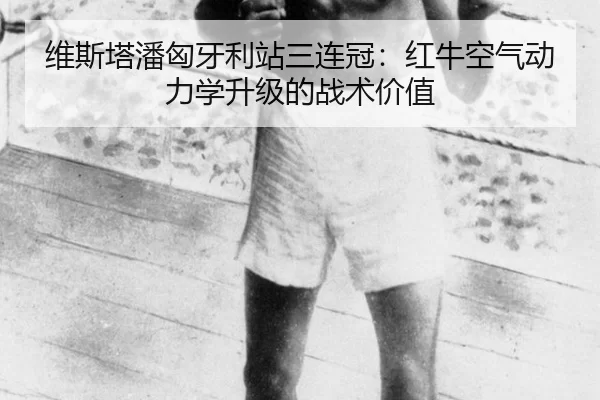 wei-si-ta-pan-xiong-ya-li-zhan-san-lian-guan-hong-niu-kong-qi-dong-li-xue-sheng-ji-de-zhan-shu-jia-zhi-1-953.jpg